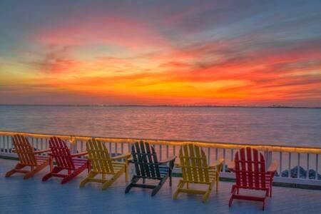 Villa The Hemingway Subtropical Luxury On The Tampa Bay Extérieur photo